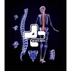 تراکم استخوان